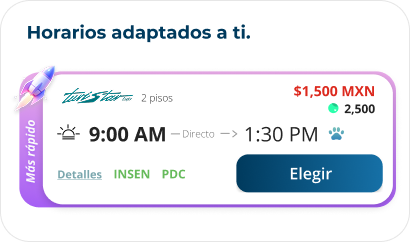 ETN Turistar UI schedules